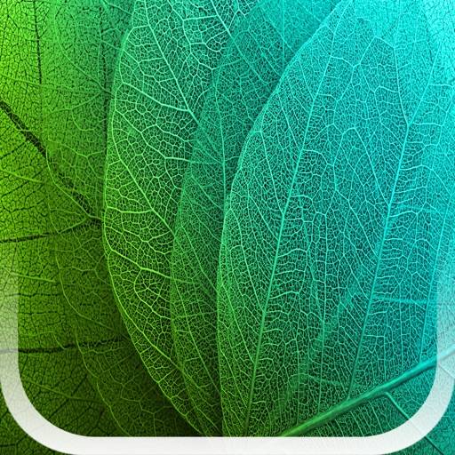 Krankheitserkennung icon