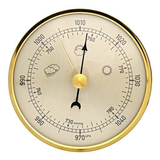 Professional Barometer Symbol