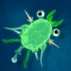 World of Microbes app icon