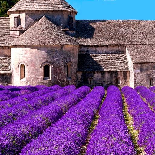 Provence’s Best: Travel Guide app icon