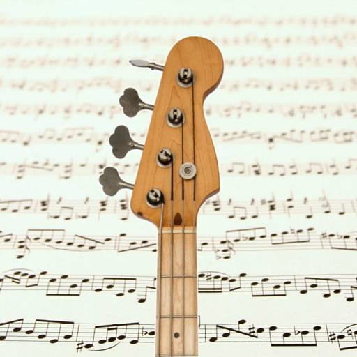 Bass Guitar Notes PRO icona