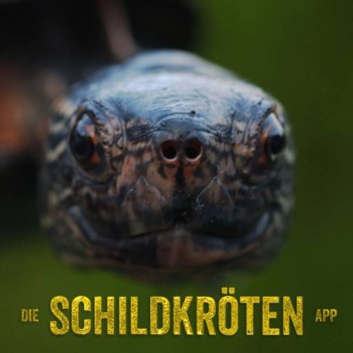 Die Schildkröten App icon