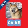 Scrivere con le sillabe 2 Pro icon