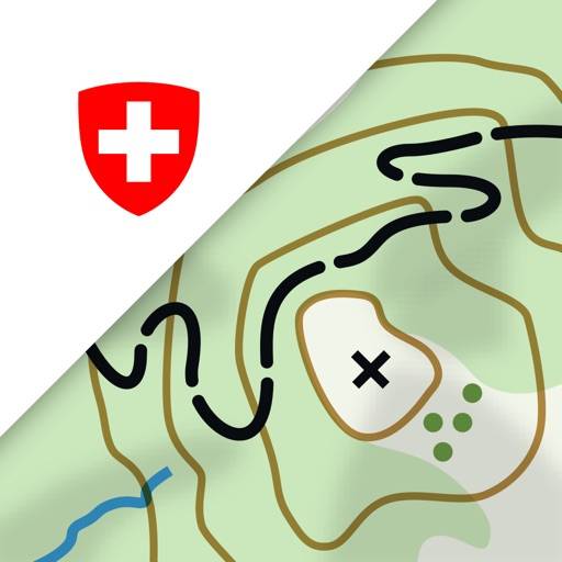 Swisstopo icon