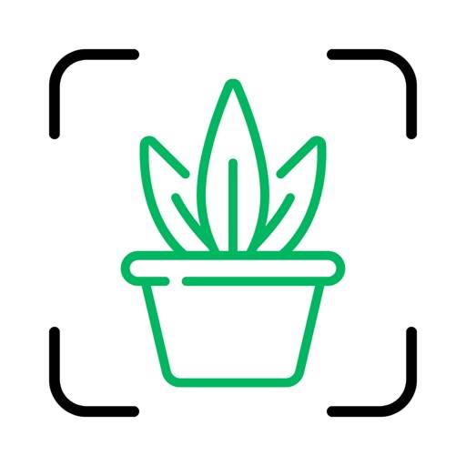 Plant ID icon