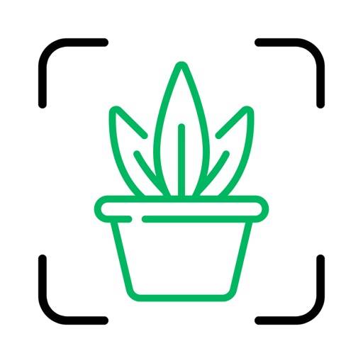 Plant ID Symbol