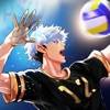 The Spike - Volleyball Story икона