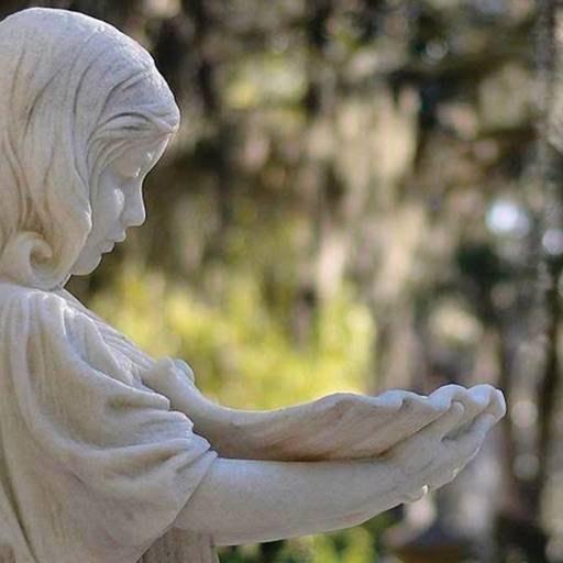Bonaventure Cemetery Tours löschen