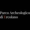 Excavations of Herculaneum icona