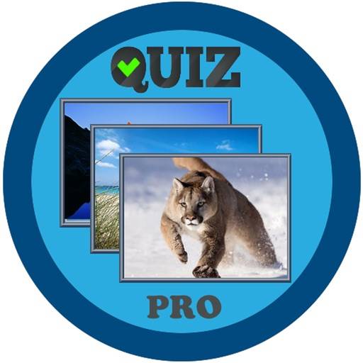 Juegos imágenes palabras Pro app icon