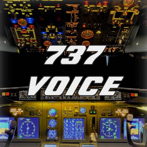 737 Voice icon