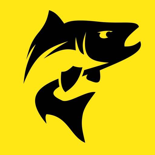 Fishy Live app icon