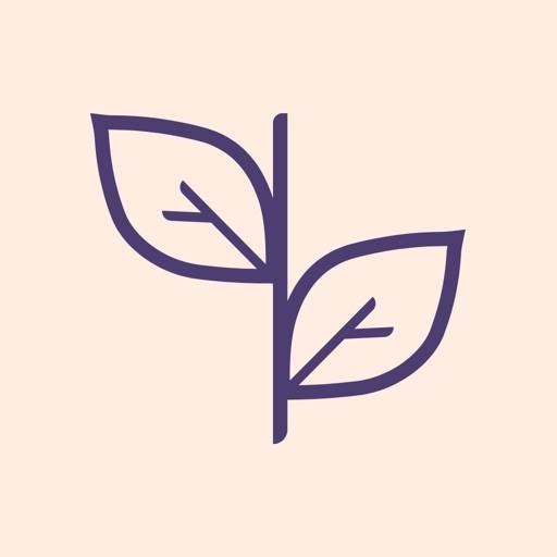 Baby Journey app icon