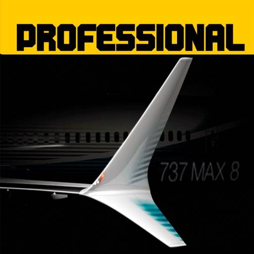 Flight 737 icon