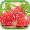 Edible Wild Plants app icon