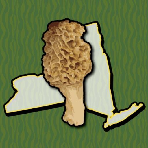 delete New York Mushroom Forager Map!