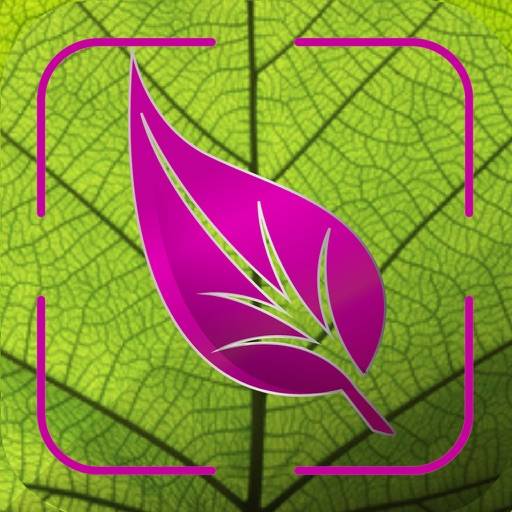 Plant Disease Identifier Prime app icon