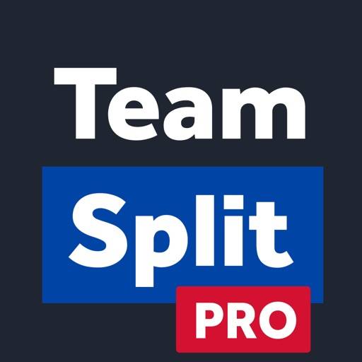 Team Split PRO icon