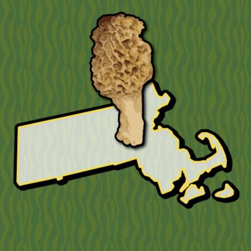 Massachusetts Mushroom Forager app icon