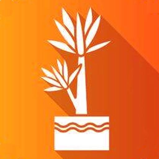 Cassava Plant Disease Identify icon