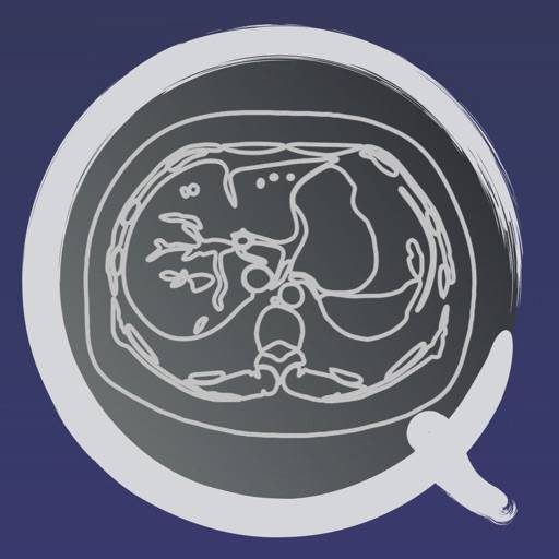 CT passaQuiz Abdomen / MRI icon