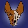 Dog Anatomy icono