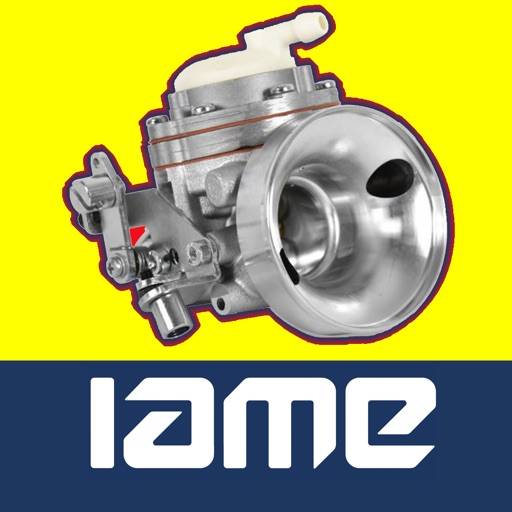 Carburation IAME KA100, KFS100 icône