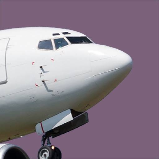B737CL Questions icon