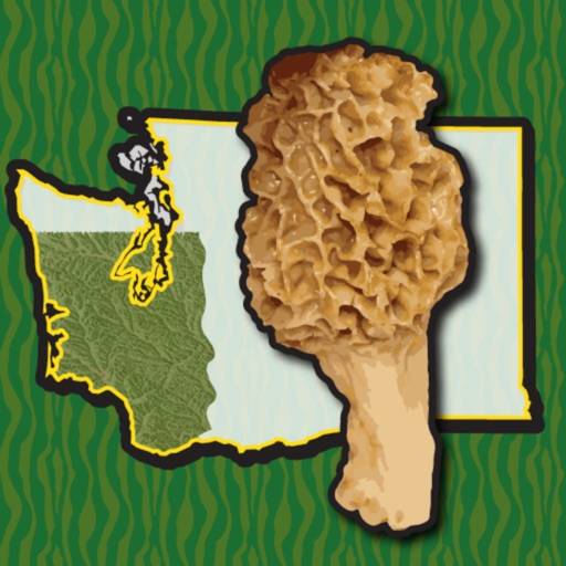 Washington SW Mushroom Forager icon