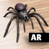 AR Spiders & Co: Scare friends icon
