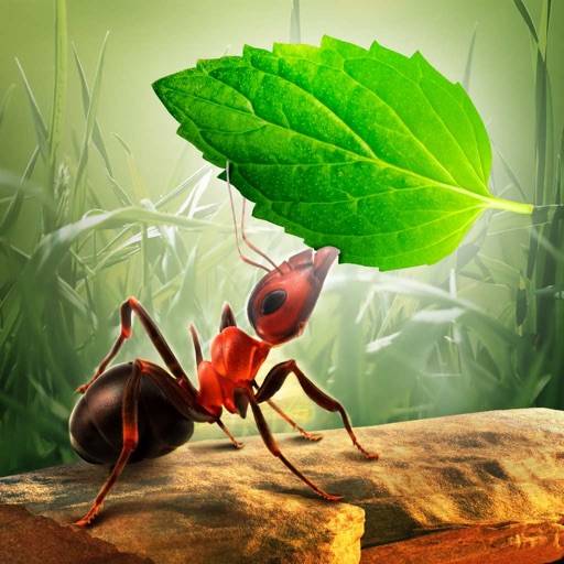 Little Ant Colony - Idle Game icon