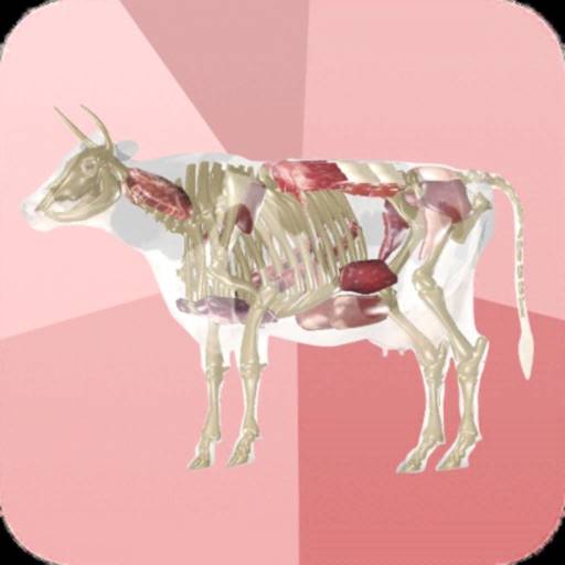 Beef Cuts 3D icon