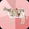 Beef Cuts 3D app icon