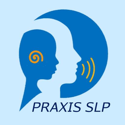 delete Praxis SLP Practice Test Q&A