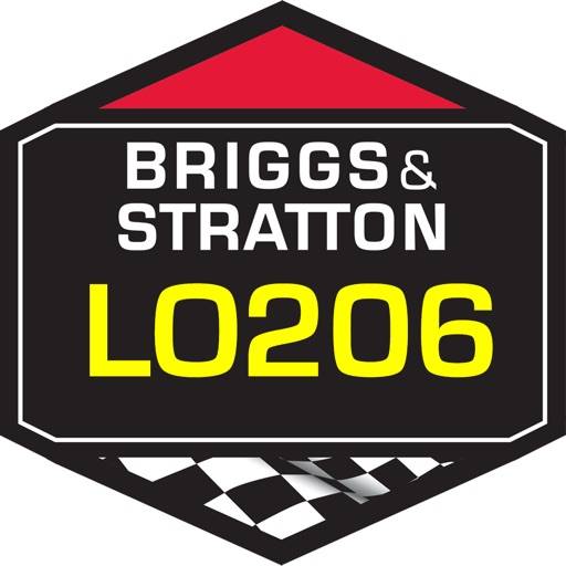 delete Jetting Briggs LO206 Kart