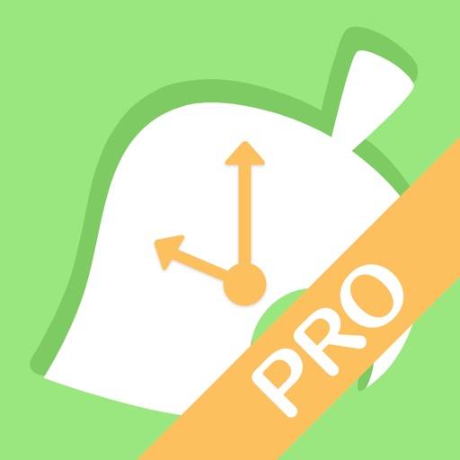 Planner for AC: NL Pro app icon