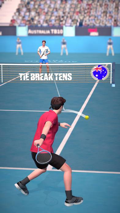 Tennis Arena screenshot #1