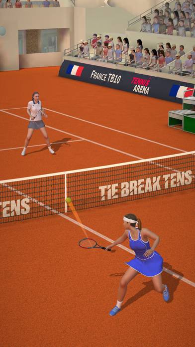 Tennis Arena screenshot #2