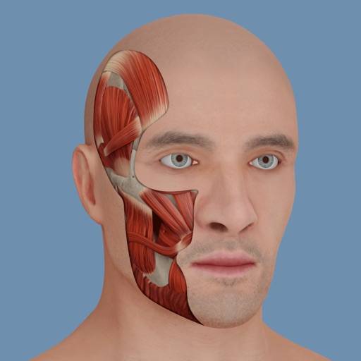 VOKA 3D Human Anatomy AR Atlas app icon