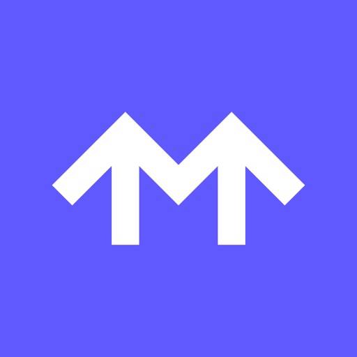 Metropolis: Remarkable Parking app icon