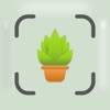 Plant & Tree Identifier - PLNT Symbol
