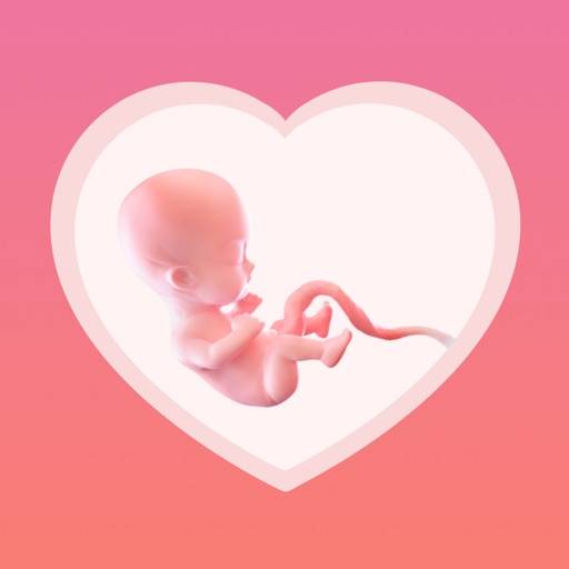 Pregnancy Tracker - BabyInside icona