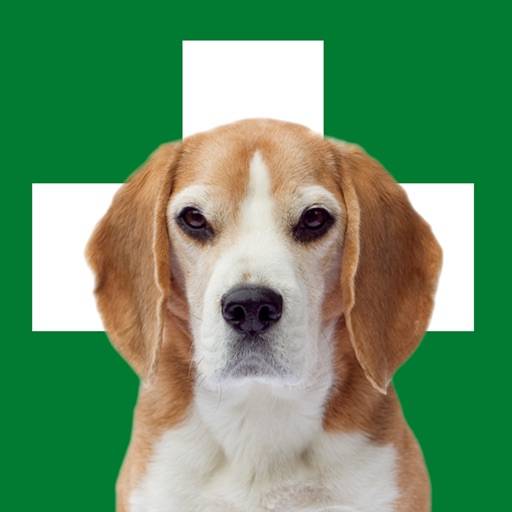 Erste Hilfe Hund Symbol