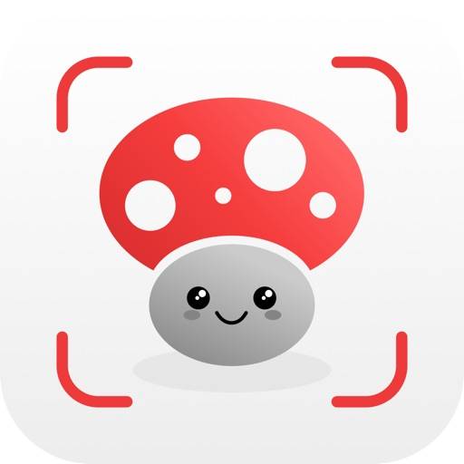 Mushroom Identification! app icon