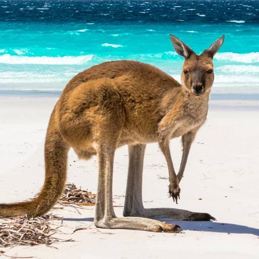 Australia’s Best: Travel Guide app icon