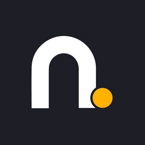 NetWin.it icon