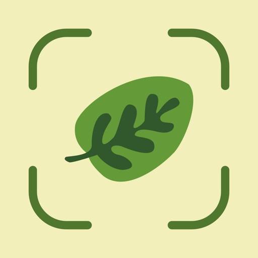 Leaf Identification Symbol