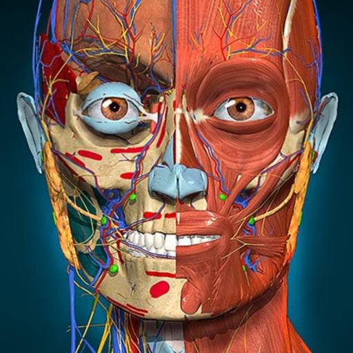 Anatomy Learning - 3D-Anatomie Symbol