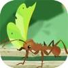 Ant Colony Kingdom-idle game icona