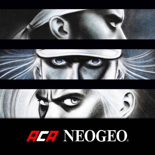 Fatal Fury Aca Neogeo icono